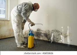 Why You Should Choose Our Mold Remediation Services in Simsbury Center, CT